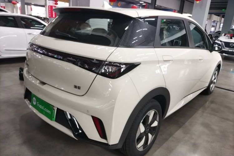 Used BYD Dolphin 2025 420km Free Edition Rear Right 45 Deg