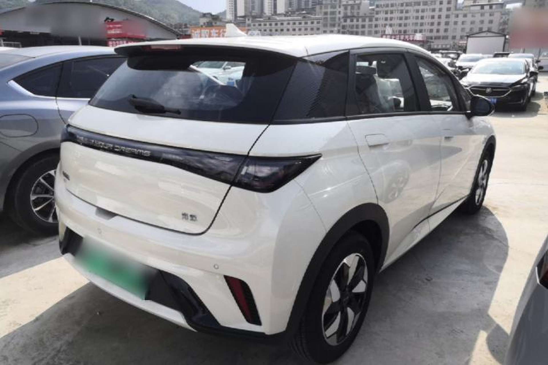 Used BYD Dolphin 2025 420km Free Edition Rear Right 45 Deg
