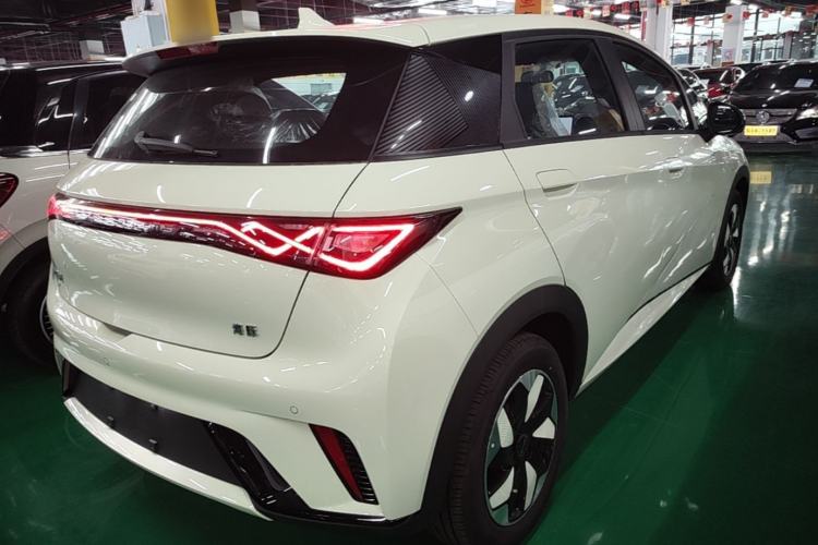 Used BYD Dolphin 2025 420km Free Edition Rear Right 45 Deg