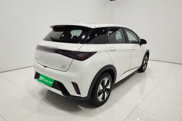 Used BYD Dolphin 2025 420km Free Edition Rear Right 45 Deg