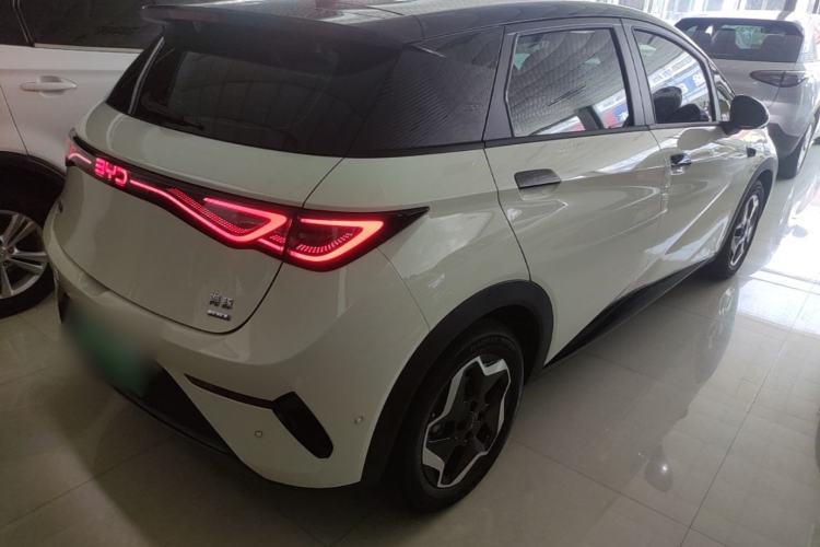 Used BYD Dolphin 2025 Smart Drive Version 420 km Freedom Edition Rear Right 45 Deg