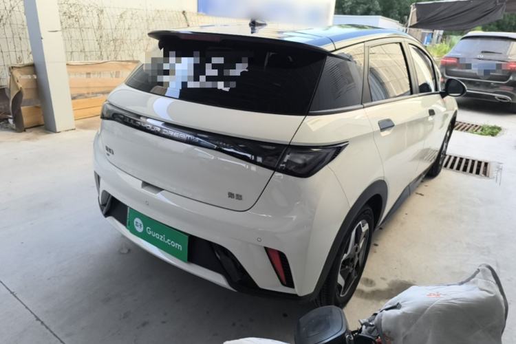 Used BYD Dolphin 2025 420km Active Version Rear Right 45 Deg