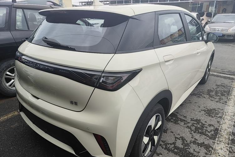 Used BYD Dolphin 2025 420km Free Edition Rear Right 45 Deg