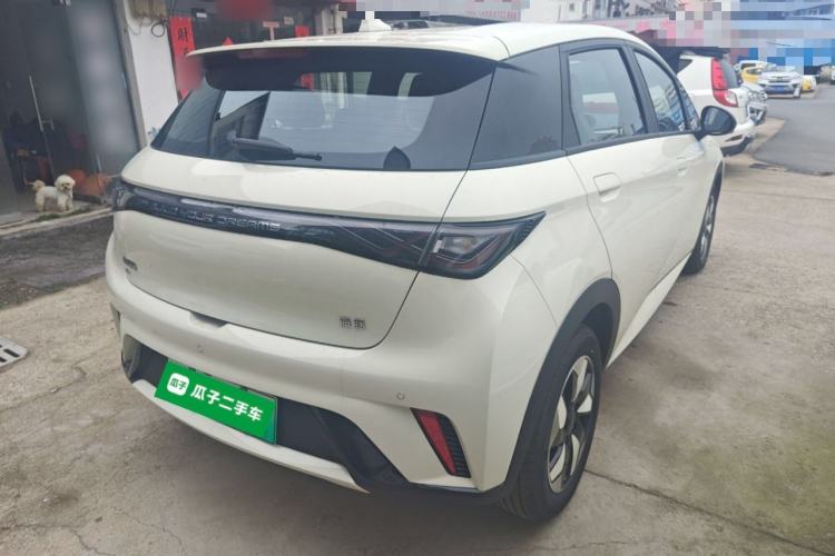 Used BYD Dolphin 2025 420km Free Edition Rear Right 45 Deg