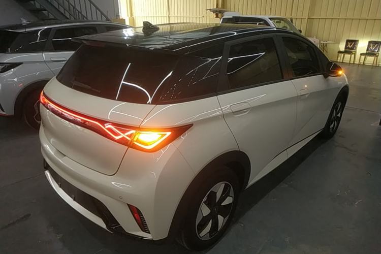Used BYD Dolphin 2025 420km Free Edition Rear Right 45 Deg