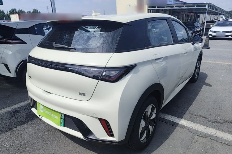 Used BYD Dolphin 2025 420km Free Edition Rear Right 45 Deg