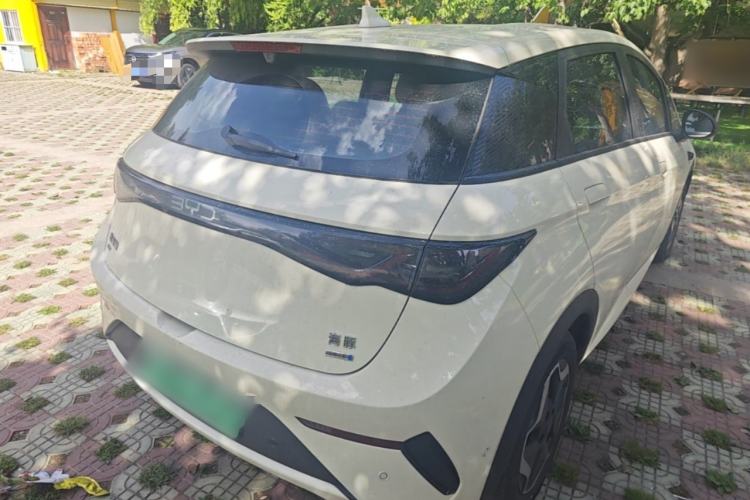 Used BYD Dolphin 2025 Smart Drive Version 420 km Freedom Edition Rear Right 45 Deg