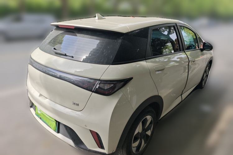 Used BYD Dolphin 2025 420km Free Edition Rear Right 45 Deg