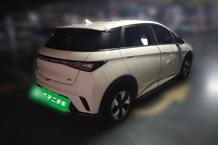 Used BYD Dolphin 2025 420km Free Edition Rear Right 45 Deg