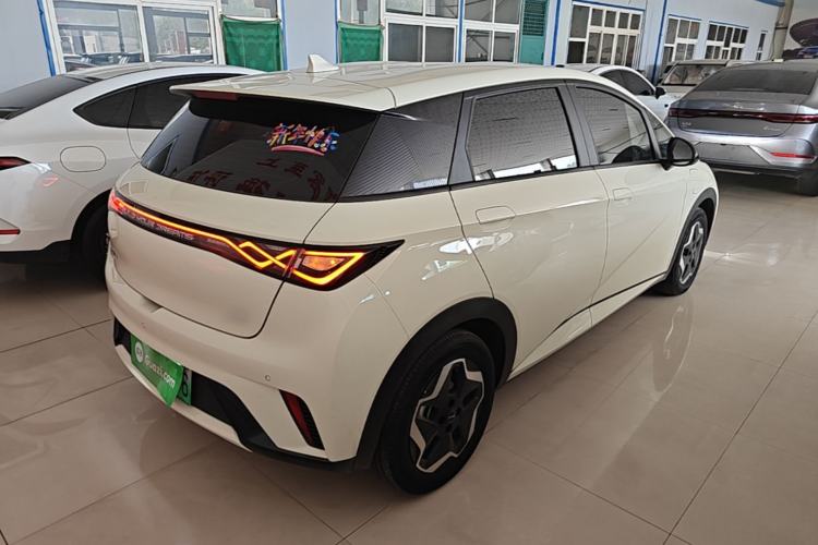 Used BYD Dolphin 2025 420km Active Version Rear Right 45 Deg