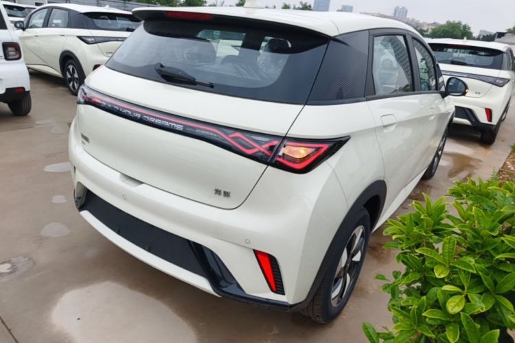 Used BYD Dolphin 2025 420km Free Edition Rear Right 45 Deg