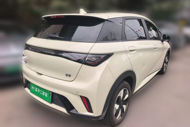 Used BYD Dolphin 2025 420km Free Edition Rear Right 45 Deg