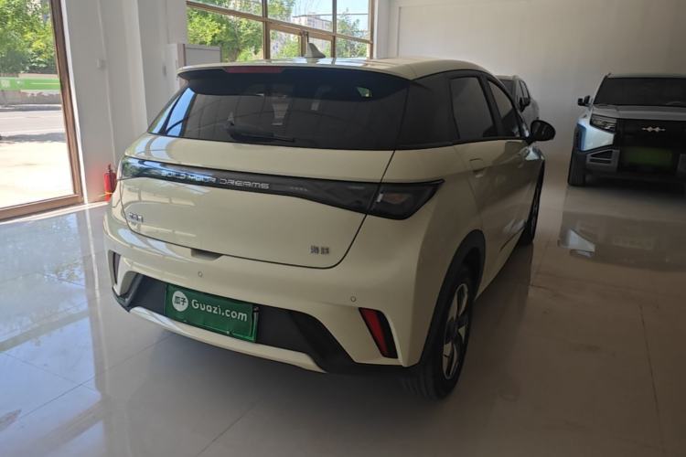 Used BYD Dolphin 2025 420km Free Edition Rear Right 45 Deg