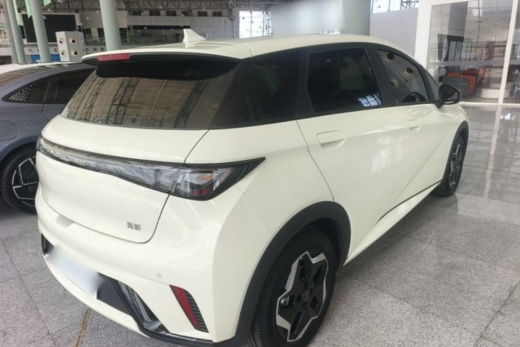 Used BYD Dolphin 2025 420km Active Version Rear Right 45 Deg