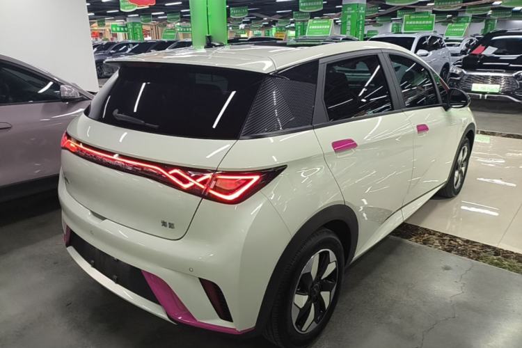 Used BYD Dolphin 2025 420km Fashion Edition Rear Right 45 Deg