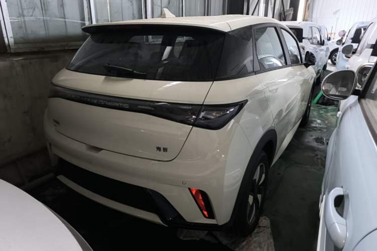 Used BYD Dolphin 2025 420km Free Edition Rear Right 45 Deg
