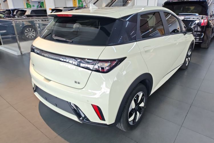 Used BYD Dolphin 2025 420km Free Edition Rear Right 45 Deg