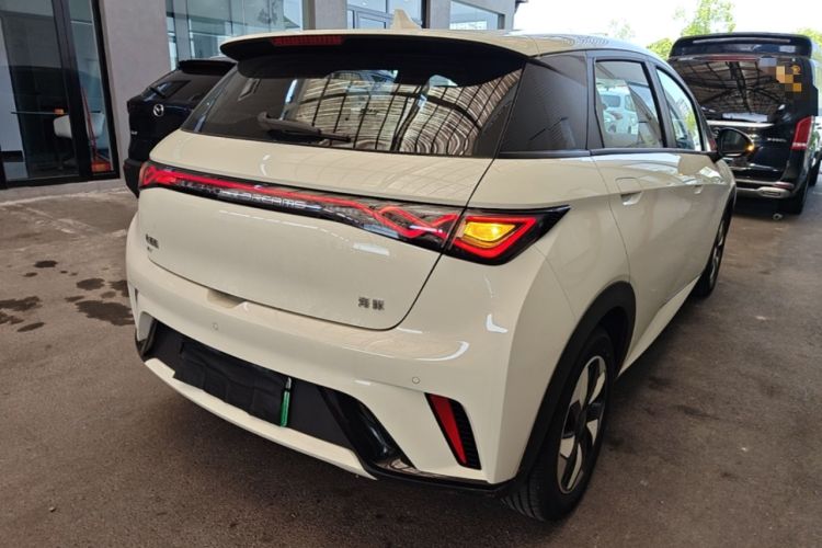 Used BYD Dolphin 2025 420km Free Edition Rear Right 45 Deg