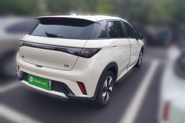 Used BYD Dolphin 2025 420km Free Edition Rear Right 45 Deg