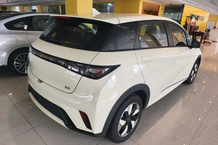 Used BYD Dolphin 2025 420km Free Edition Rear Right 45 Deg