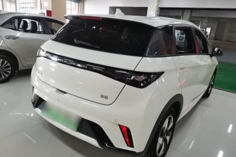Used BYD Dolphin 2025 420km Free Edition Rear Right 45 Deg