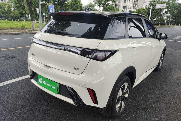 Used BYD Dolphin 2025 420km Free Edition Rear Right 45 Deg