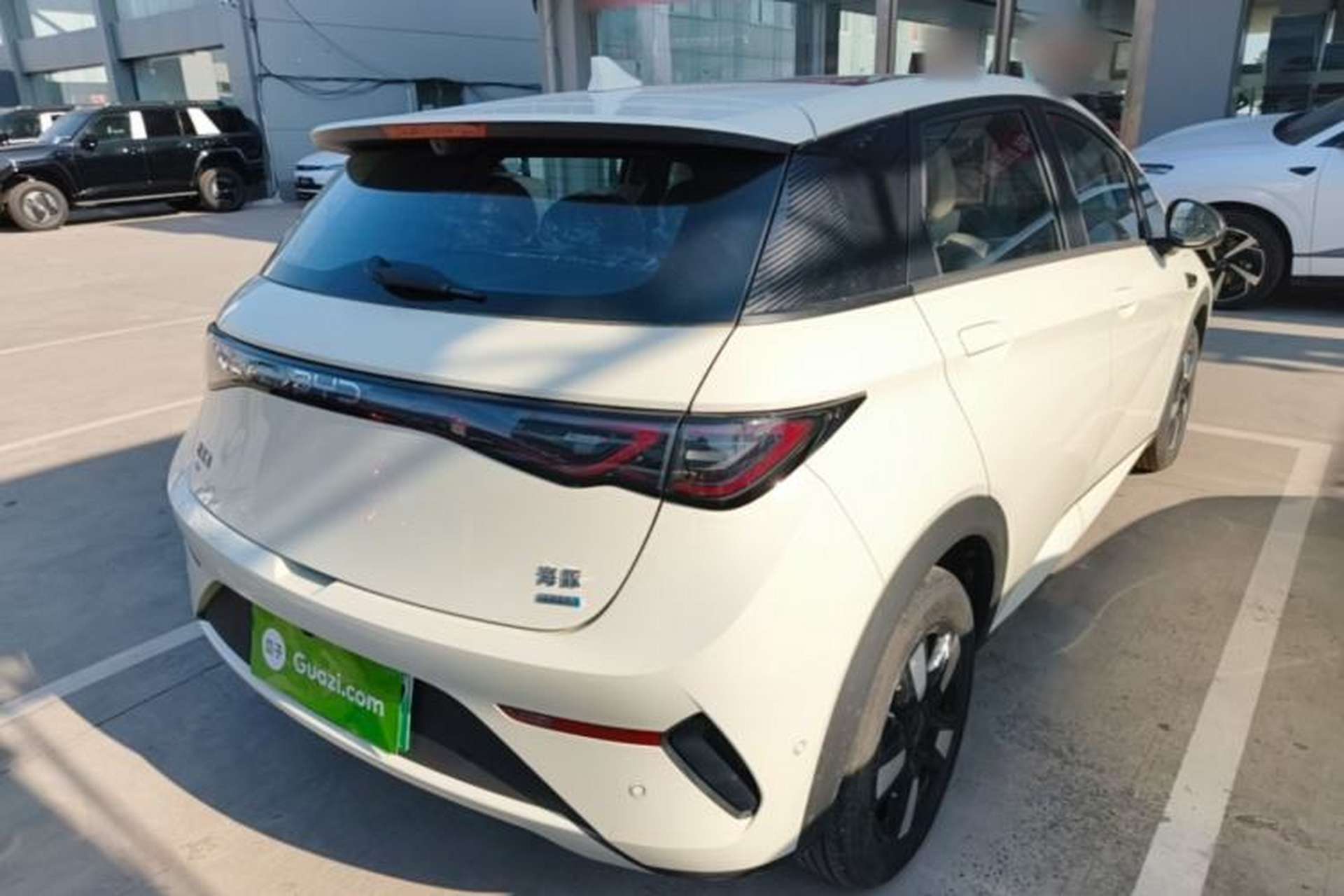 Used BYD Dolphin 2025 Intelligent Driving Version 410 km Fashion Edition Rear Right 45 Deg