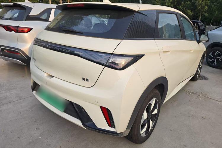 Used BYD Dolphin 2025 420km Free Edition Rear Right 45 Deg