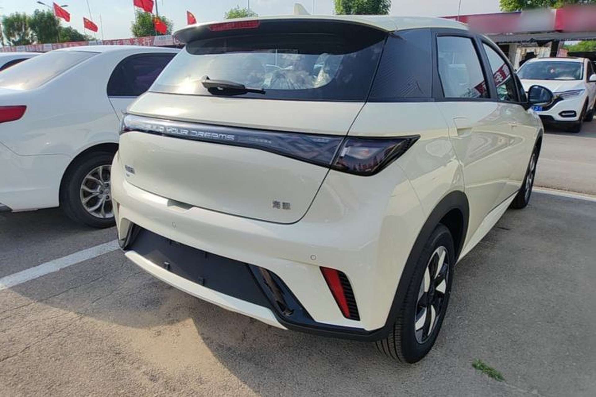 Used BYD Dolphin 2025 420km Free Edition Rear Right 45 Deg