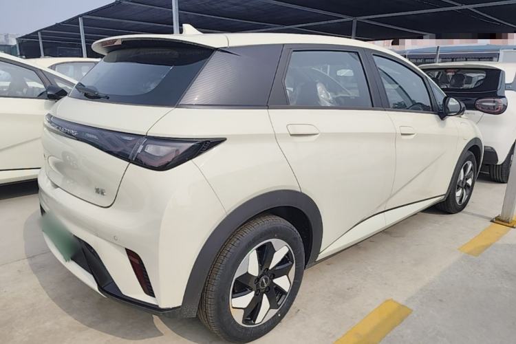 Used BYD Dolphin 2025 420km Free Edition Rear Right 45 Deg