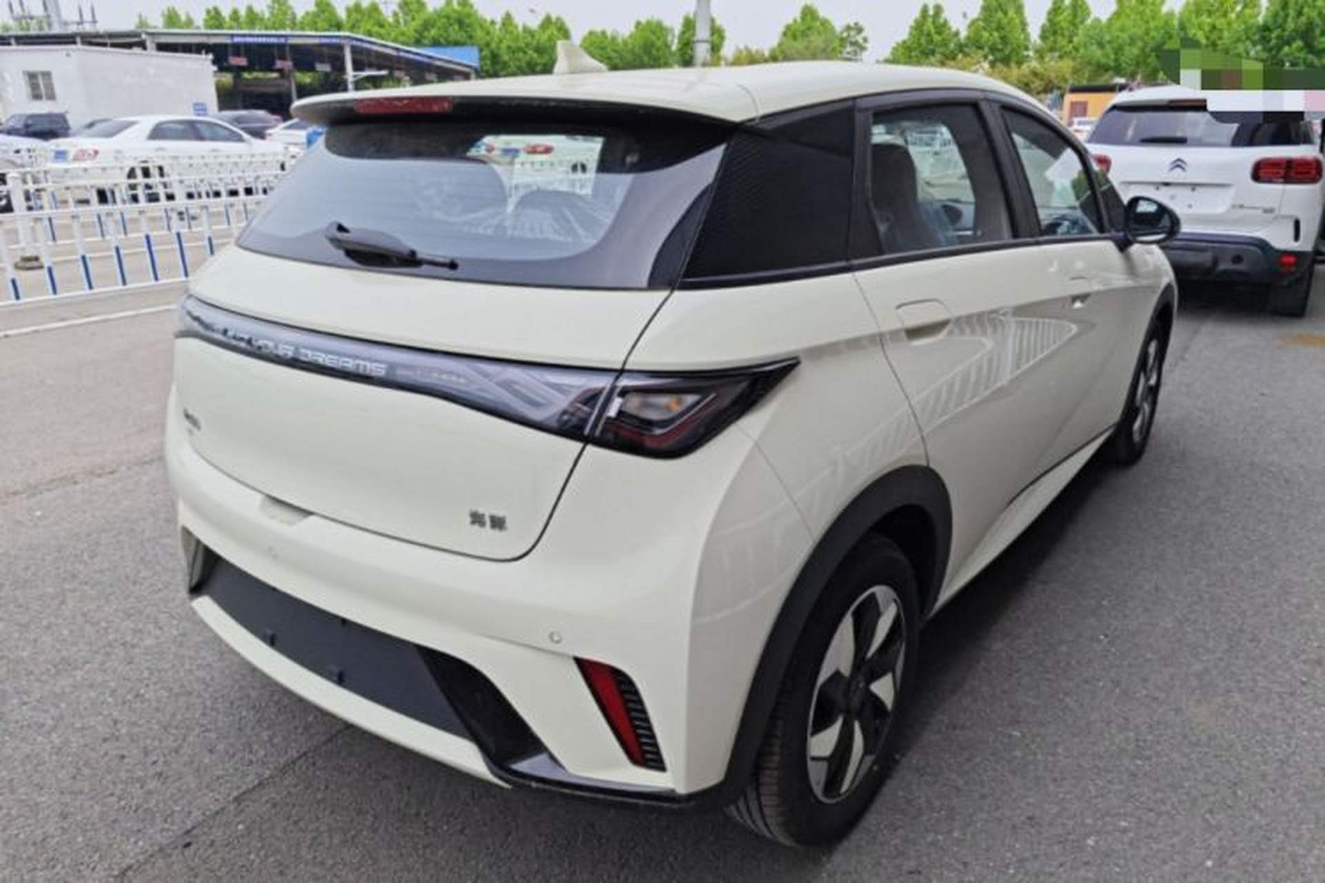 Used BYD Dolphin 2025 420km Free Edition Rear Right 45 Deg
