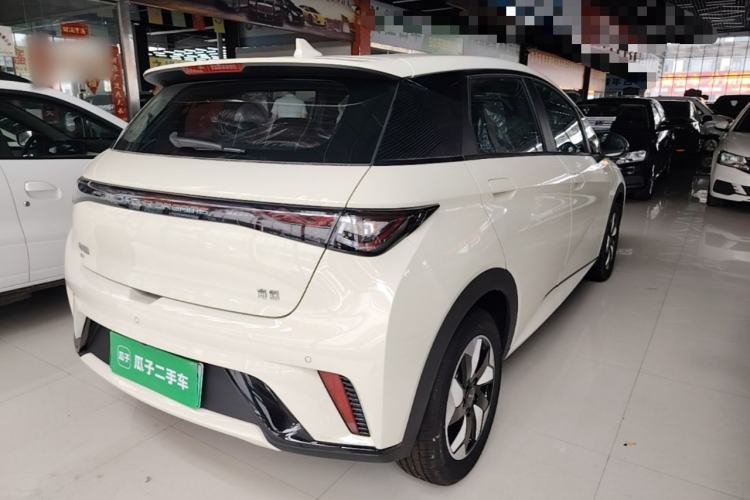 Used BYD Dolphin 2025 420km Free Edition Rear Right 45 Deg
