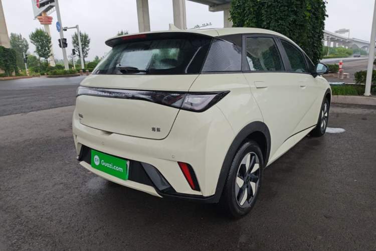 Used BYD Dolphin 2025 420km Free Edition Rear Right 45 Deg