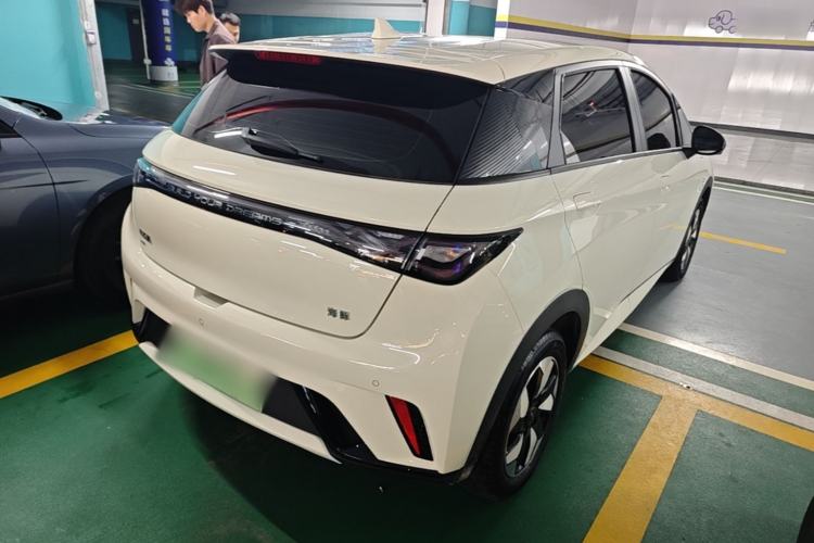 Used BYD Dolphin 2025 420km Free Edition Rear Right 45 Deg