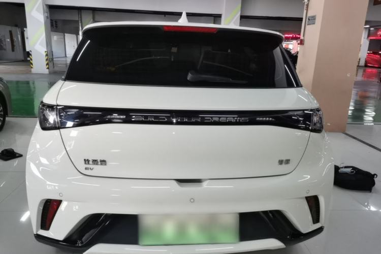 Used BYD Dolphin 2025 420km Free Edition Rear