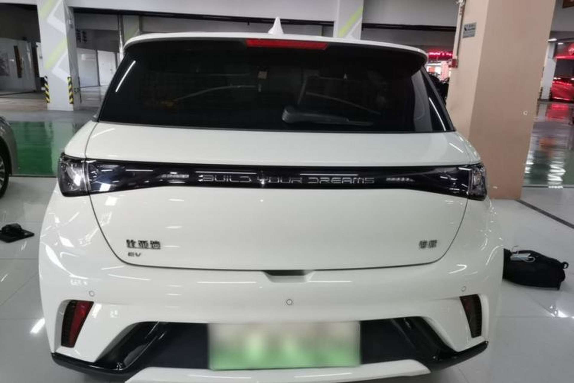 Used BYD Dolphin 2025 420km Free Edition Rear