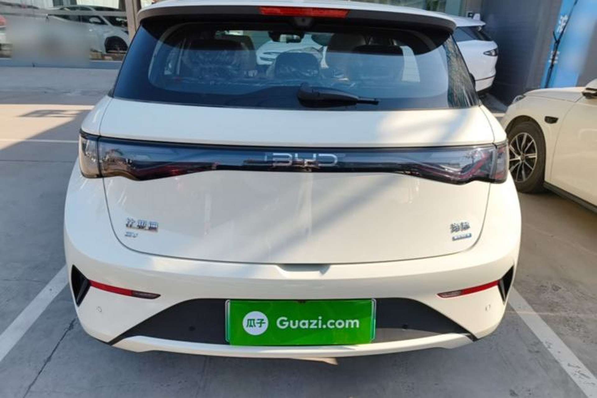 Used BYD Dolphin 2025 Intelligent Driving Version 410 km Fashion Edition Rear