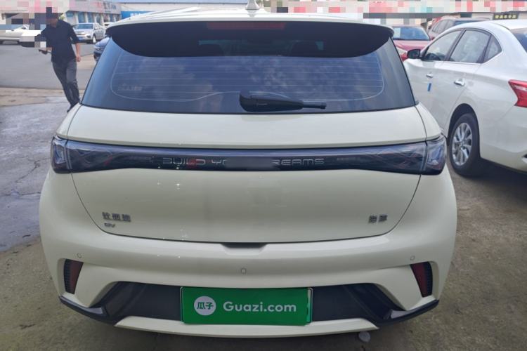 Used BYD Dolphin 2025 420km Free Edition Rear