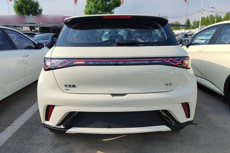Used BYD Dolphin 2025 420km Free Edition Rear