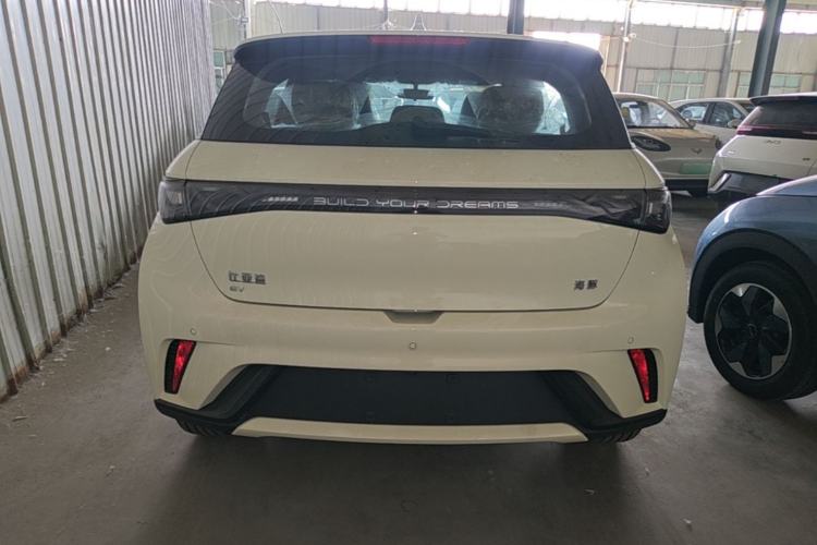 Used BYD Dolphin 2025 420km Free Edition Rear