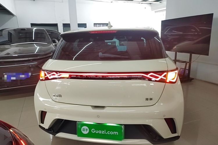 Used BYD Dolphin 2025 420km Free Edition Rear