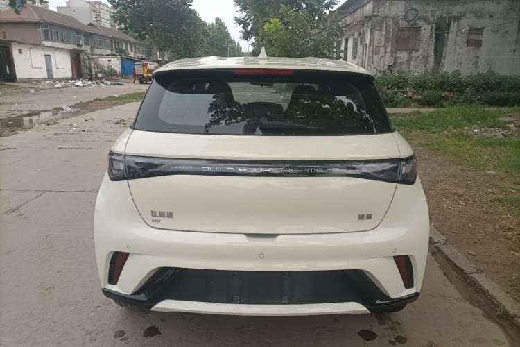Used BYD Dolphin 2025 420km Free Edition Rear