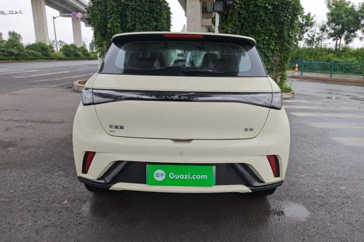 Used BYD Dolphin 2025 420km Free Edition Rear