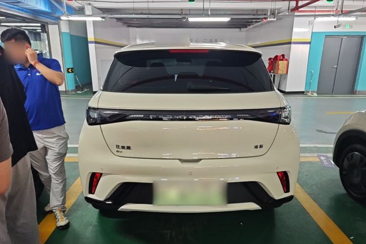 Used BYD Dolphin 2025 420km Free Edition Rear