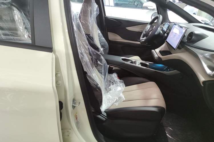 Used BYD Dolphin 2025 420km Free Edition Right Front Seat