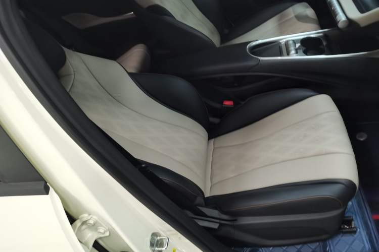 Used BYD Dolphin 2025 420km Free Edition Right Front Seat