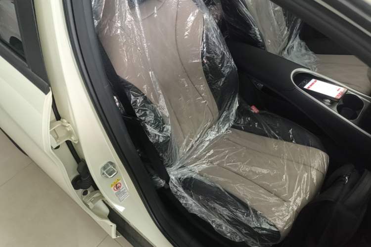 Used BYD Dolphin 2025 420km Free Edition Right Front Seat