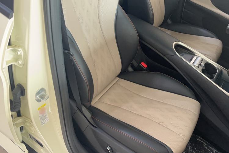 Used BYD Dolphin 2025 420km Fashion Edition Right Front Seat