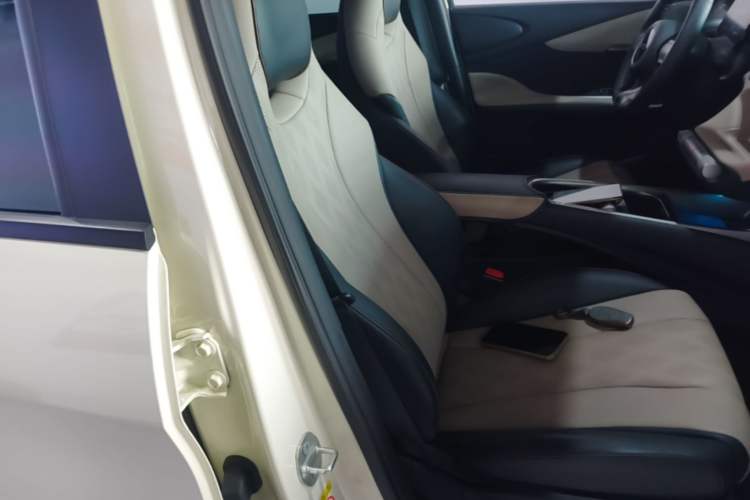 Used BYD Dolphin 2025 420km Fashion Edition Right Front Seat
