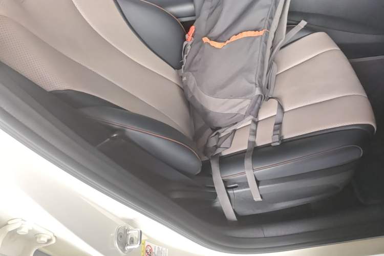 Used BYD Dolphin 2025 420km Active Version Right Front Seat